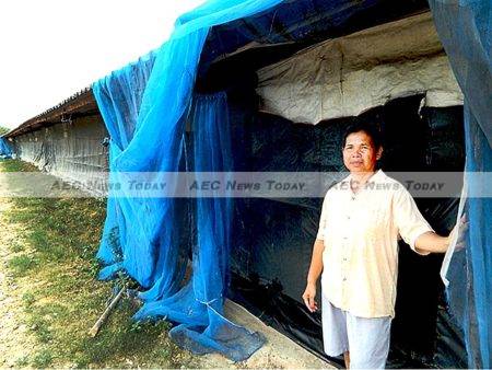 Khon Kaen contract chicken farmer Phikul Rongbutsri will be passing a debt-laden business on to her children 