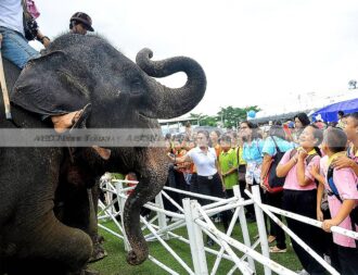 Of polo & pachyderms: Thailand trumpets return of elephant polo tournament
