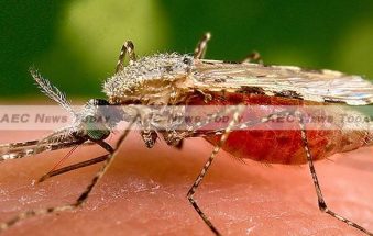 NIAID Study Finds Current Cambodia Malaria Treatment Fails
