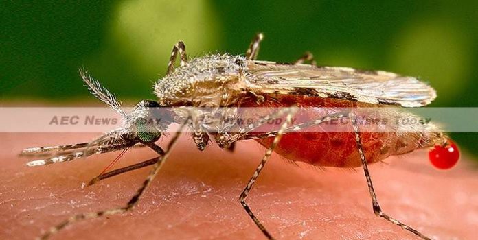 NIAID Study Finds Current Cambodia Malaria Treatment Fails