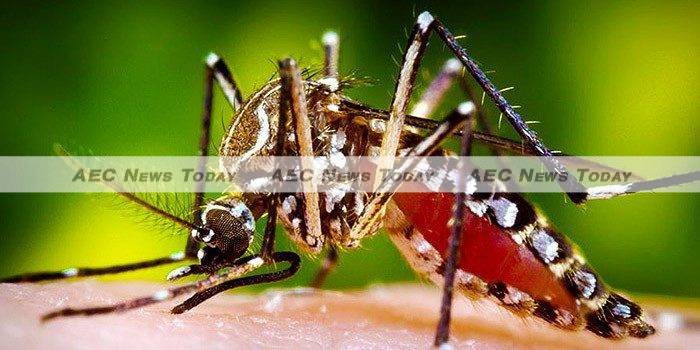 Experimental Dengue Vaccine Protects All Recipients