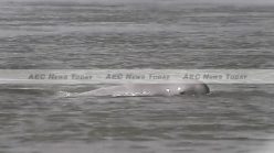 Don Sahong Dam dooms Irrawaddy dolphins, fledgling Cambodia eco-tourism industry (videos)