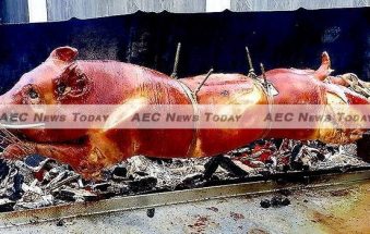 Philippines Pig Farmers Threaten Supply Stoppage Over Smuggling Inaction