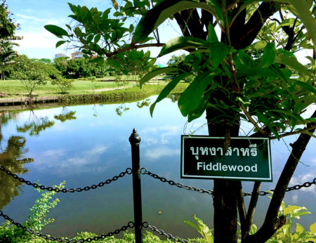 The trees at Krungthep Kreetha Golf Club are thoughtfully identified for the botanically-challenged