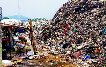 Government Ineptitude Turns Koh Tao Into Filthy Cesspool