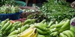 vegetables low 700 | Asean News Today