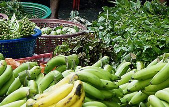 GIZ Programme to Boost Cambodia’s Organic Produce Sector