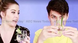 What do Americans think of Thai alcohol? (video)