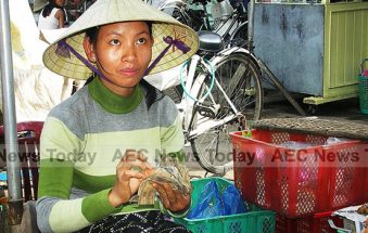 Vietnam’s Stellar Economic Growth Stumbles