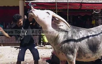 Rambu Solo: Sulawesi’s complicated Torajan funeral ceremony (video)