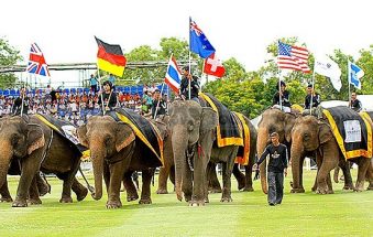 2017 King’s Cup Elephant Polo Tournament To Kick Off March 9 (video)