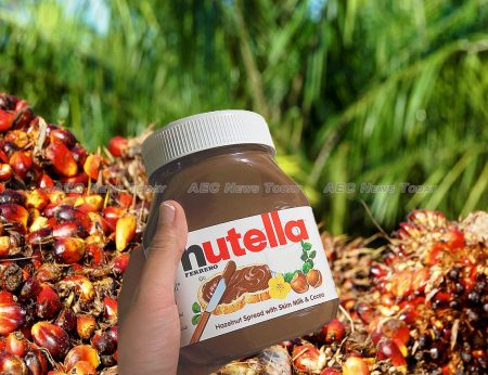 Ferrero SpA, the manufacturers of Nutella suggest a ten-year study is needed to determine the risk of cancer in humans from palm oil