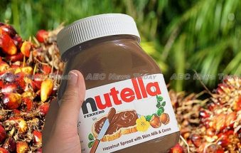 Indonesian scientist: Palm oil cancer risk doesn’t warrant ban