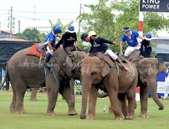 2017 King’s Cup Elephant Polo tournament