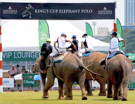 2017 King’s Cup Elephant Polo tournament