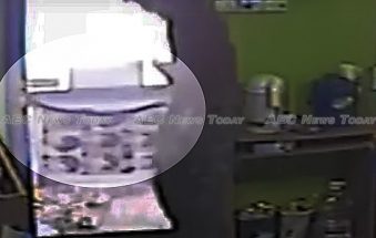 Web addicted rat snake terrorises Thailand internet cafe (video)