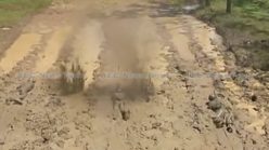 Dopper: Indonesia special forces extreme live fire training (video)
