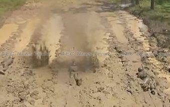 Dopper: Indonesia special forces extreme live fire training (video)