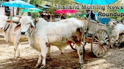 Thailand Morning News For June 9