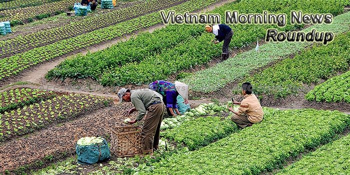 Vietnam Morning News For June 22