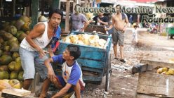 Indonesia Morning News For July 18