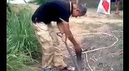 Thai snake whisperer seduces world’s most venomous snake (video)