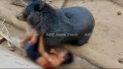 Horrifying: man eaten alive in Thailand Buddhist temple (video) *updated