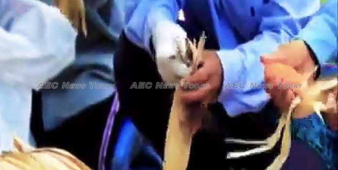 Thailand English-language news for August 10, 2017 Thailand English-language News For August 10