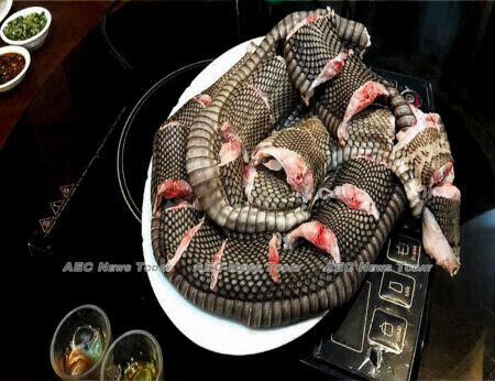 This snake was found ready for cooking at the restaurant