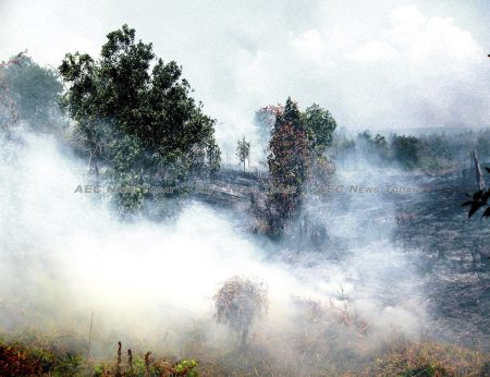Forest fires and peatland fires make Indonesia one of the world's largest producers of greenhouse gases