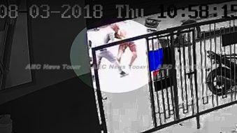 Thai police red faced as ankle shackles snap & prisoner flees court (video)