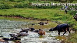 Indonesia Morning News For April 13