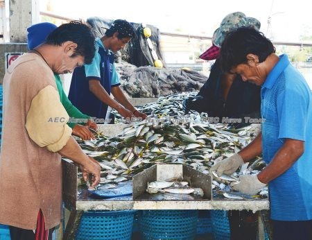 42,000 job sit vacant in the Thailand seafood and fishing sectors alone