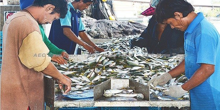 Trump’s GSP seafood cut gives Thailand 2020 GDP an early whack (video) *updated