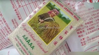China helping boost Cambodia rice’ global image & quality (video)