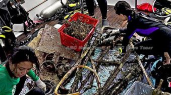 NUS divers collect 100 kg of trash from Singapore marine park