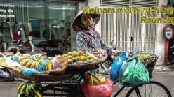 Vietnam Morning News For June 8