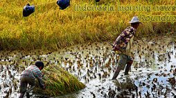 Indonesia morning news for August 24