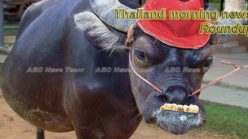 Thailand morning news for August 10
