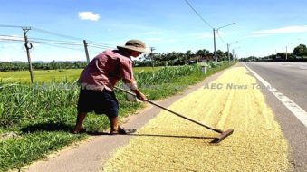 Rice self-sufficiency insufficient: In search of a better food security policy for Asia