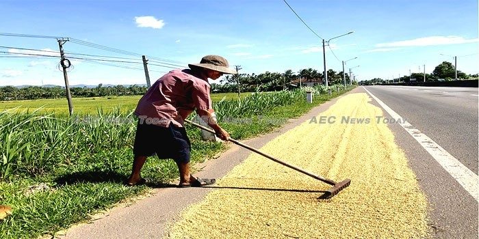 Rice self-sufficiency insufficient: In search of a better food security policy for Asia