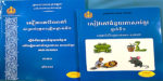 The teacher guide and student book that are being used as part of the early learning initiative.