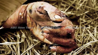 Asean politicians, Unesco: Impunity for journalist killings & abuse must end (video)