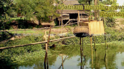 Vietnam morning news for November 23