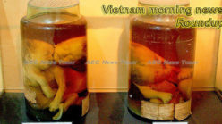 Vietnam morning news for November 30