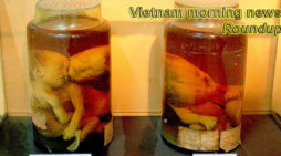 Vietnam morning news for November 27