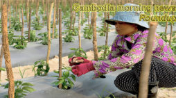 Cambodia morning news for February 1