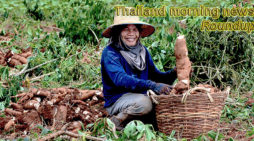 Thailand morning news for January 31