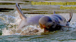 Cambodia morning news for February 26