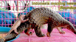 Indonesia morning news for February 26